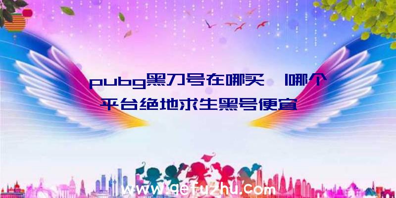 「pubg黑刀号在哪买」|哪个平台绝地求生黑号便宜